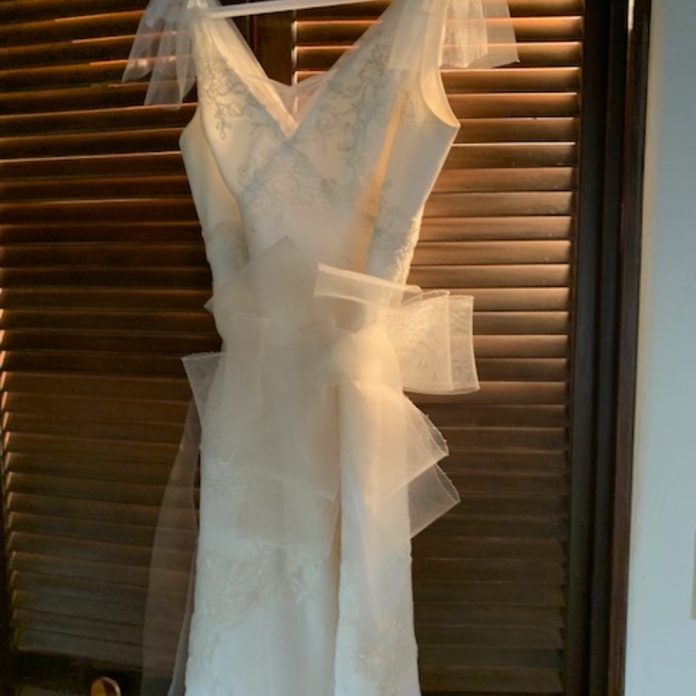 Vera Wang Wedding dress